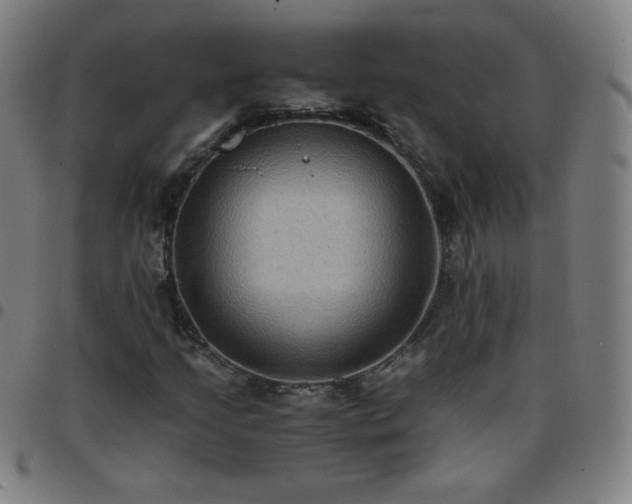 X0000097661205200803071524