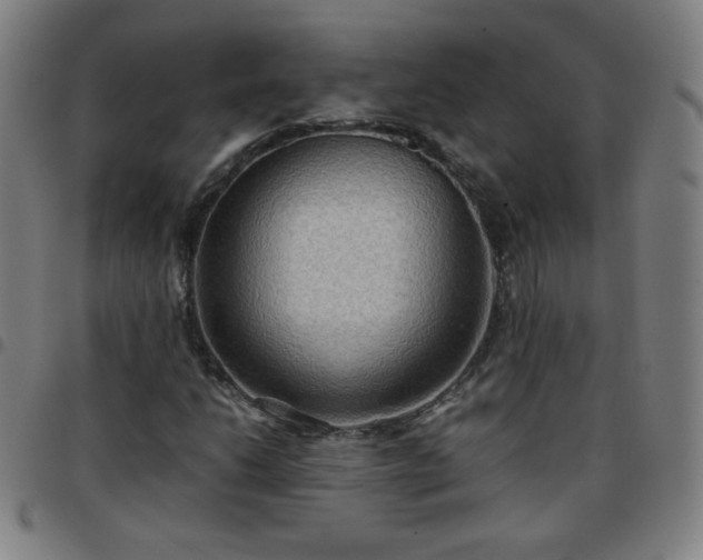 X0000097661206200803071524
