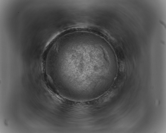 X0000097661208200803071524