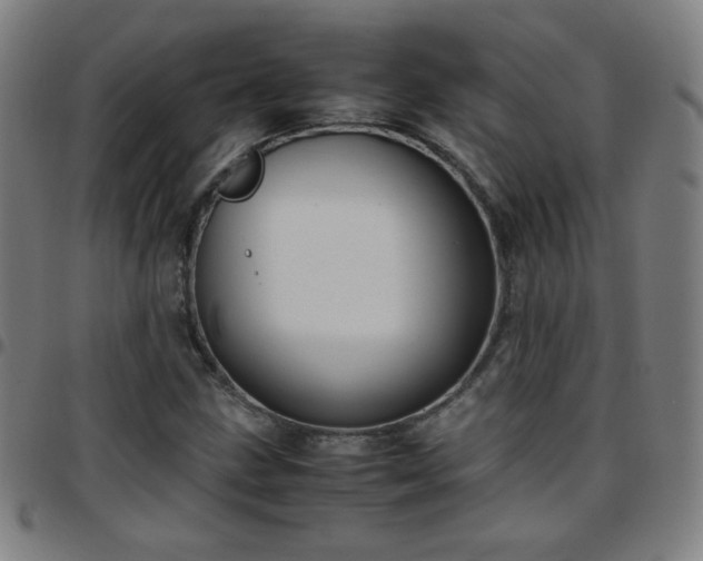 X0000097661211200803071524