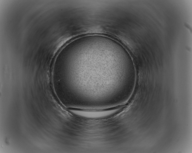 X0000097661212200803071524