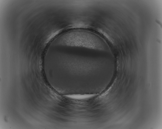 X0000097661213200803071524
