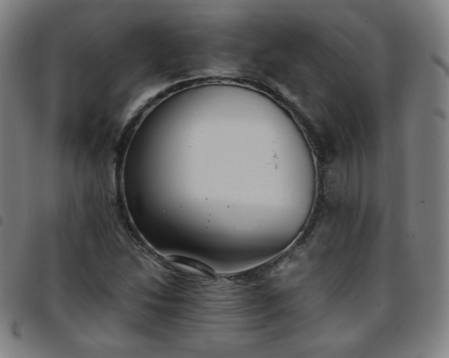 X0000097661214200803071524