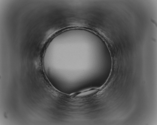X0000097661215200803071524