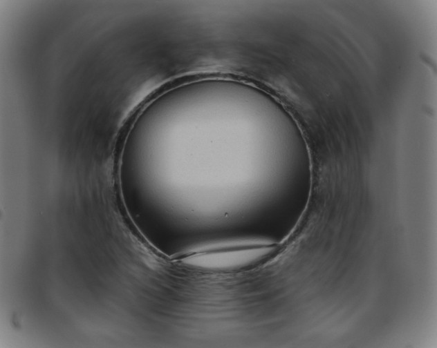 X0000097661216200803071524