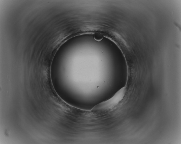 X0000097661217200803071524