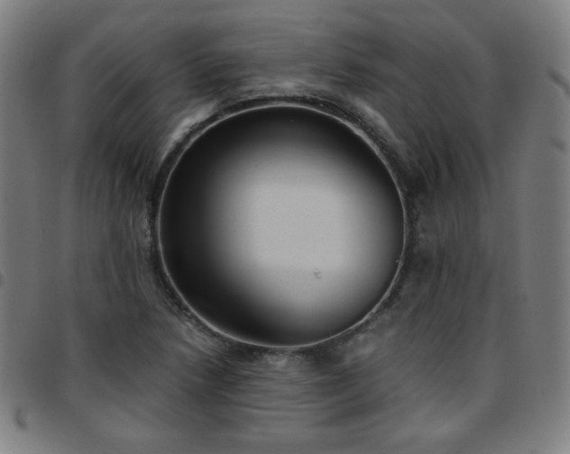 X0000097661218200803071524