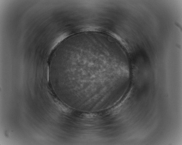 X0000097661219200803071524