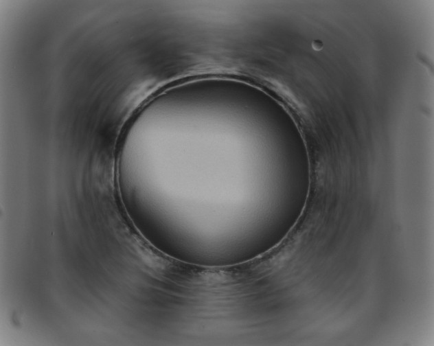 X0000097661220200803071524