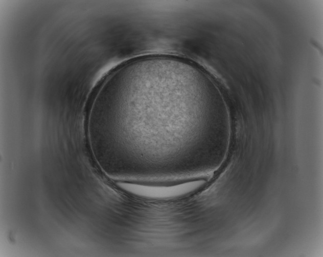 X0000097661222200803071524