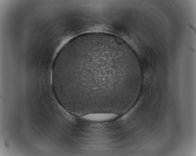 X0000097661224200803071524