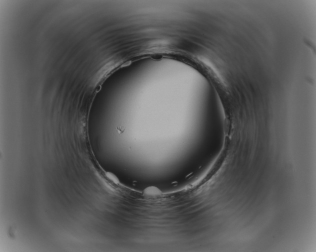X0000097661225200803071524