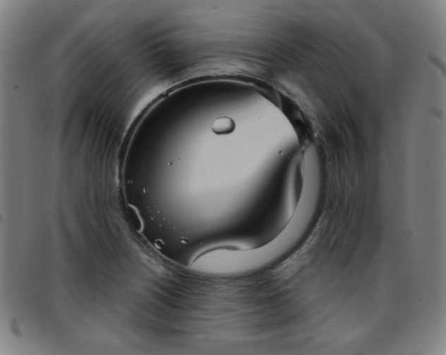 X0000097661226200803071524