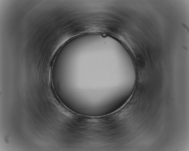 X0000097661227200803071524