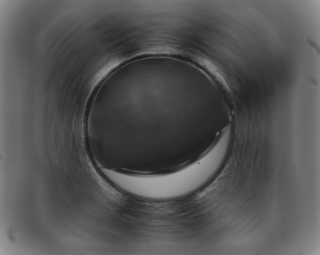 X0000097661229200803071524