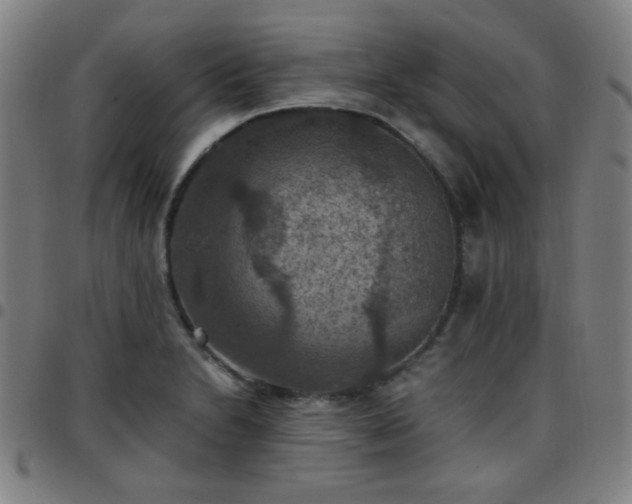 X0000097661230200803071524