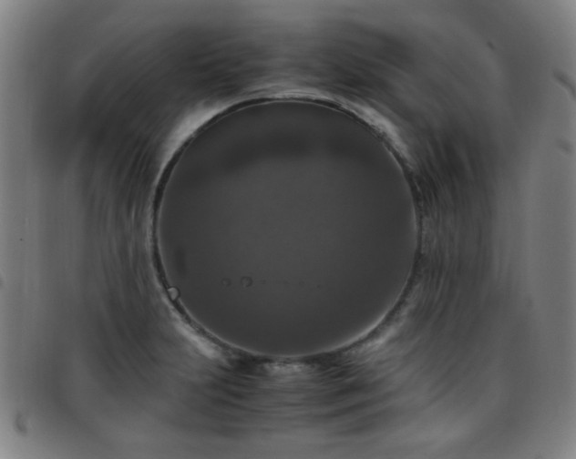 X0000097661231200803071524