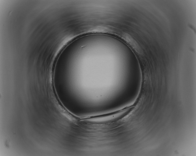 X0000097661232200803071524