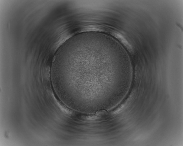 X0000097661233200803071524