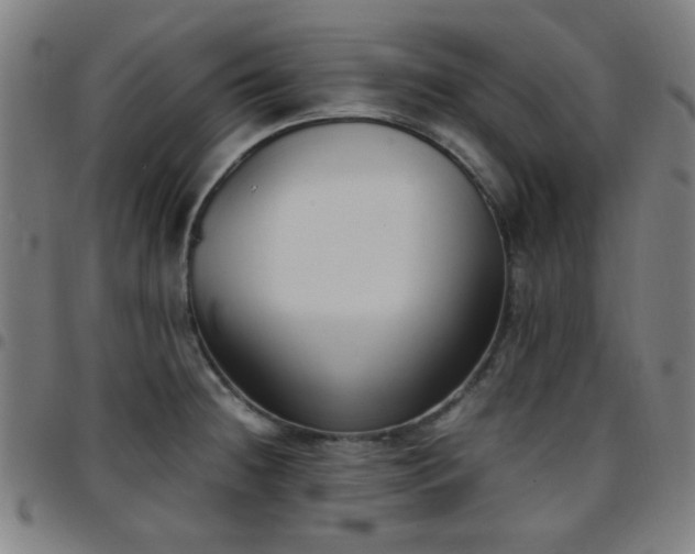 X0000097661236200803071525