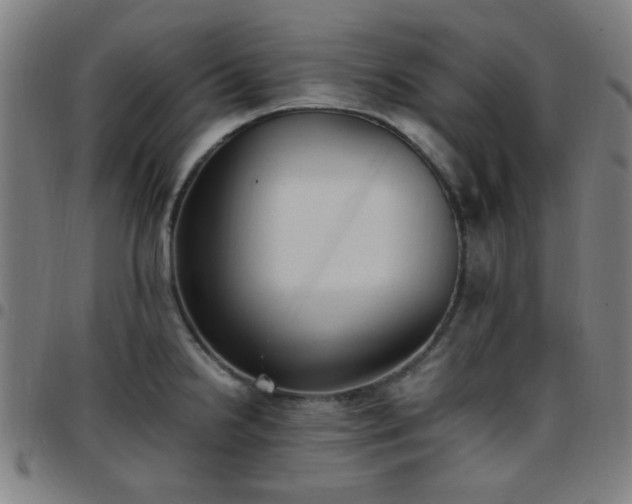 X0000097661238200803071525