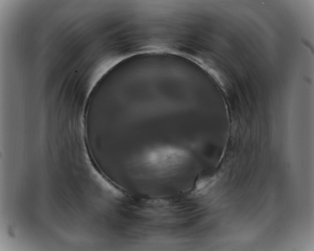 X0000097661239200803071525