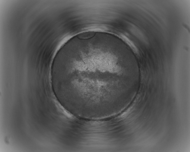 X0000097661240200803071525