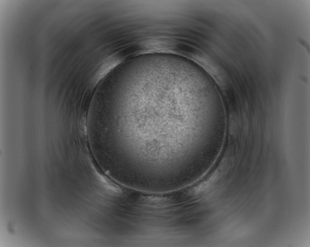 X0000097661241200803071525