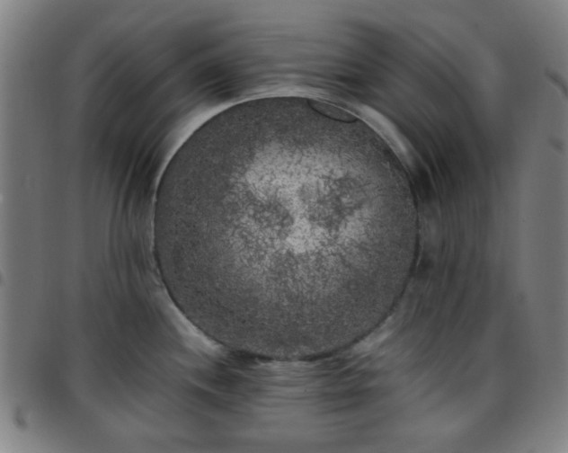 X0000097661244200803071525