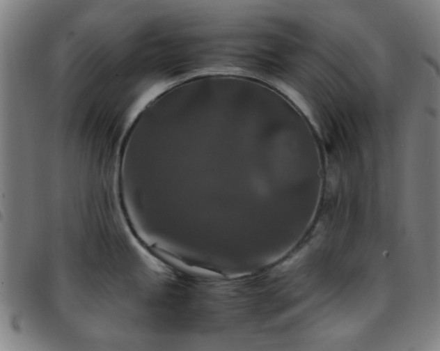 X0000097661245200803071525