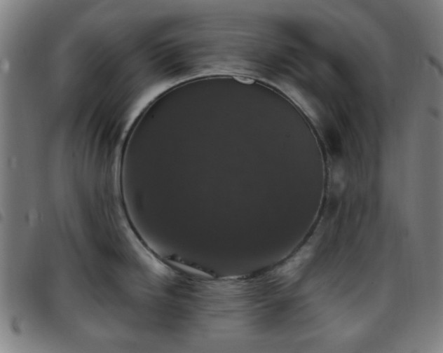 X0000097661246200803071525