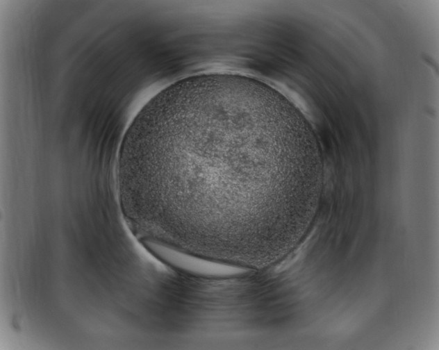 X0000097661247200803071525