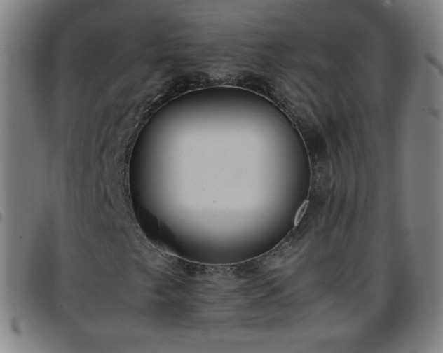 X0000097661249200803071524