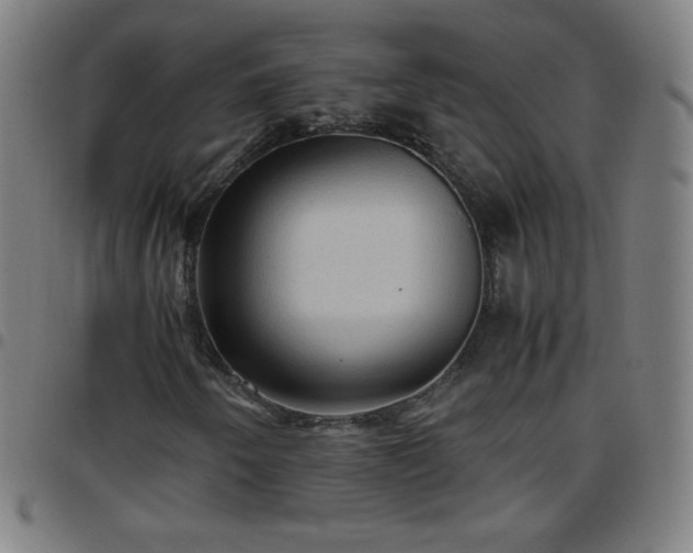 X0000097661250200803071524