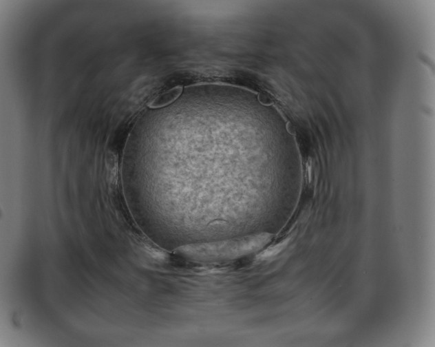 X0000097661251200803071524