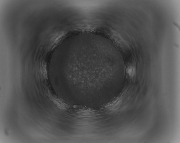 X0000097661252200803071524