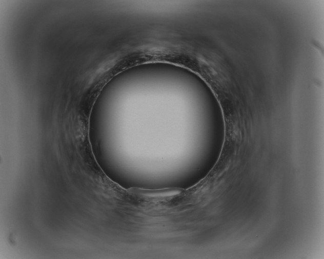 X0000097661253200803071524