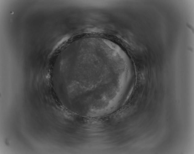 X0000097661254200803071524