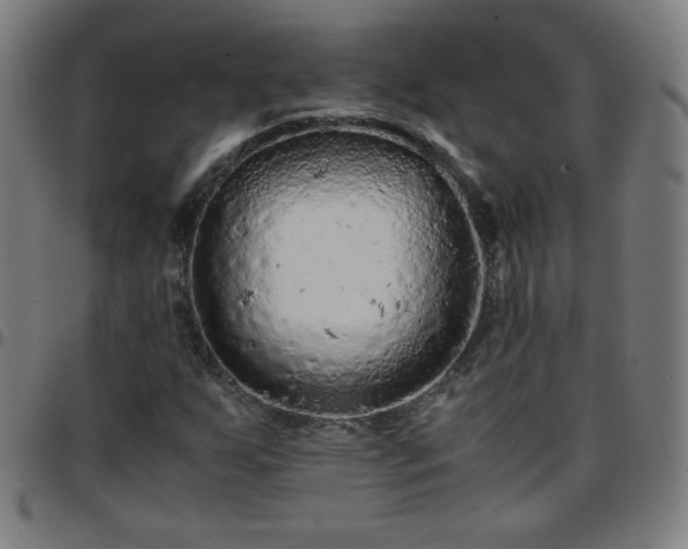X0000097661255200803071524