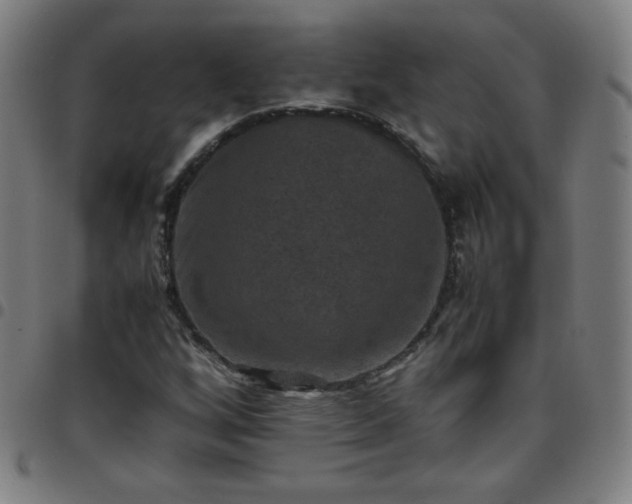 X0000097661256200803071524
