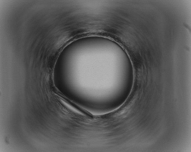 X0000097661257200803071524