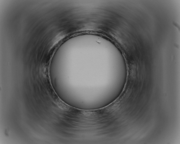 X0000097661258200803071524