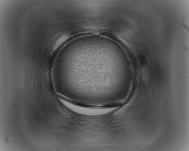 X0000097661259200803071524