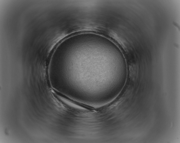 X0000097661260200803071524