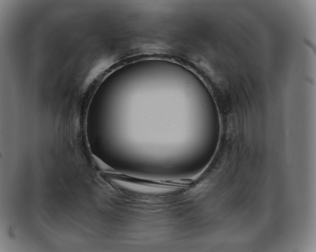 X0000097661261200803071524