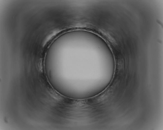 X0000097661262200803071524