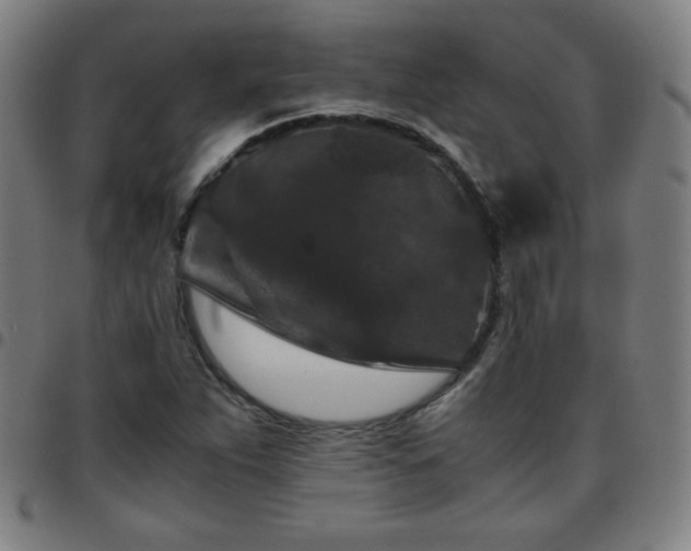 X0000097661263200803071524