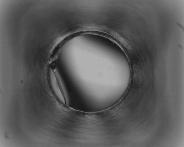 X0000097661264200803071524