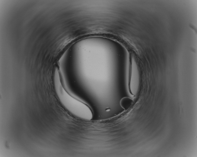 X0000097661265200803071524