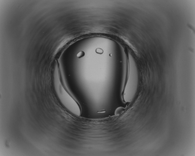 X0000097661266200803071524